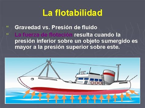 Flotacin Y Hundimiento La Flotabilidad Gravedad Vs Presin