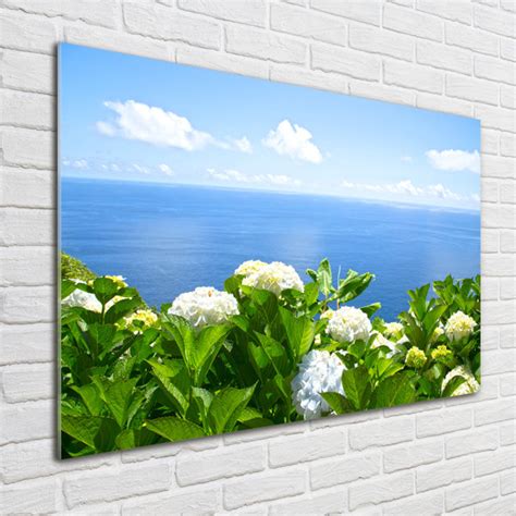 Rosalind Wheeler Glasbild Blumen Am Meer Wayfair De