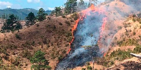 Más De 1 000 Hectáreas Afectadas Por 70 Incendios Forestales En