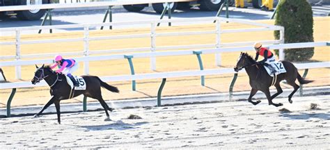 武豊騎手が24年jra初勝利、京都通算1400勝目！メイショウタムシバで押し切る／新馬戦 3歳馬特集 競馬写真ニュース 日刊スポーツ