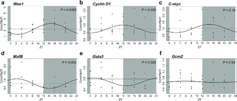 Regulators Of Cell Cycle And Proliferation Are Rhythmically Expressed