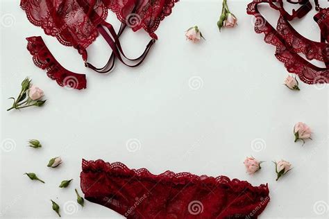 Handmade Women`s Underwear Red Lacy Lingerie On White Background Stock Image Image Of Clothes