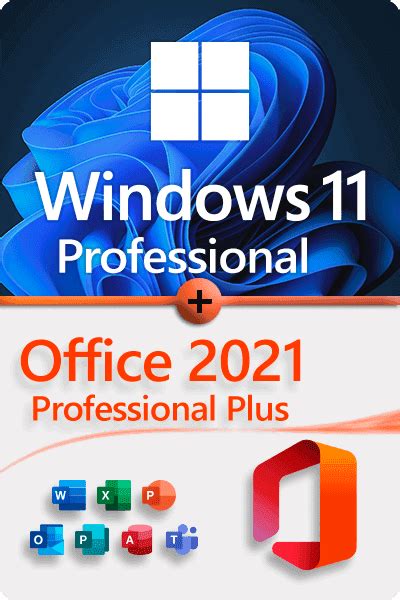 Microsoft Windows Professional Microsoft Office Professional