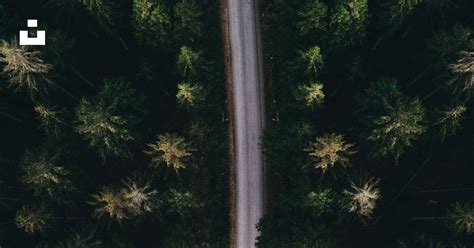 Aerial photography of road photo – Free Nature Image on Unsplash