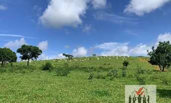 Fazenda Venda No Bairro Centro Piumhi Mg Mgf Im Veis Mgf Im Veis