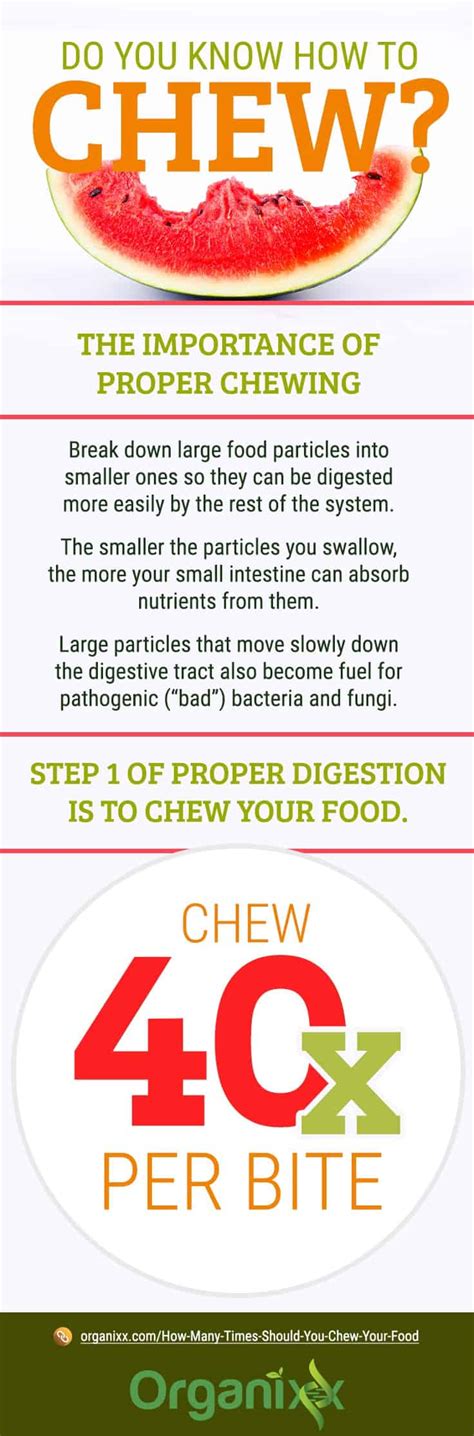 How Many Times To Chew Your Food 11 Ways To Improve Digestion Organixx