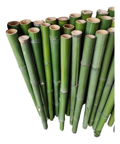 8 Varas De Bambú Natural Cerca Jardín 130 Cm 5 Cm Grosor MercadoLibre