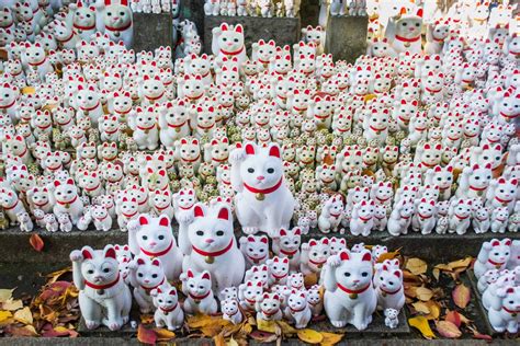 Gotokuji Temple How To Visit The Lucky Cat Temple In Tokyo