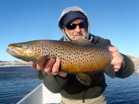 Wyoming Trophy Trout Four Seasons Anglers