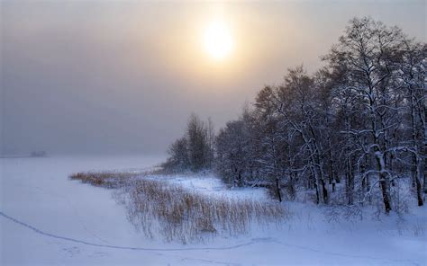 🔥 Free Download Winter Landscape Wallpaper Stock Photos By Crogers73