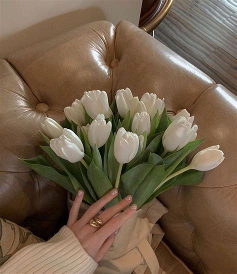 𝐇𝐢𝐠𝐡 𝐅𝐚𝐬𝐡𝐢𝐨𝐧 𝐏𝐨𝐬𝐭 on Instagram: “Tulips 🌷 what’s your favorite flower ...