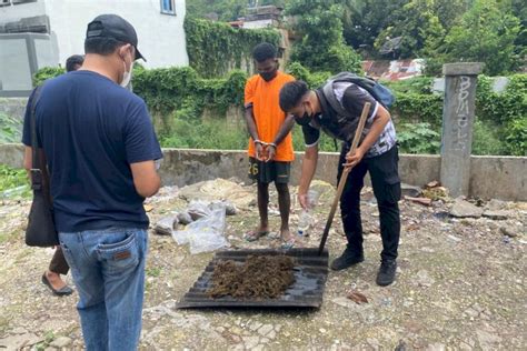 Wna Asal Png Terancam Pidana Seumur Hidup Atas Kepemilikan Narkotika