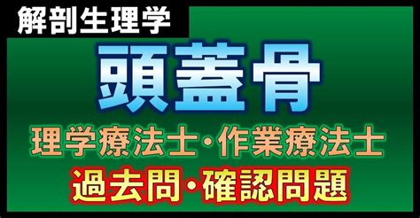 【基礎から学ぶ・解剖学】頭蓋骨・確認問題（理学療法士・作業療法士）｜西島ゼミ：国家試験攻略note