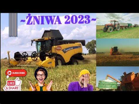 Żniwa 2023 Koszenie rzepaku i pszenicy New Holland Ursus Bizon