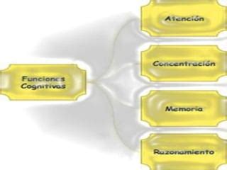 Funciones Cognitivas PPT