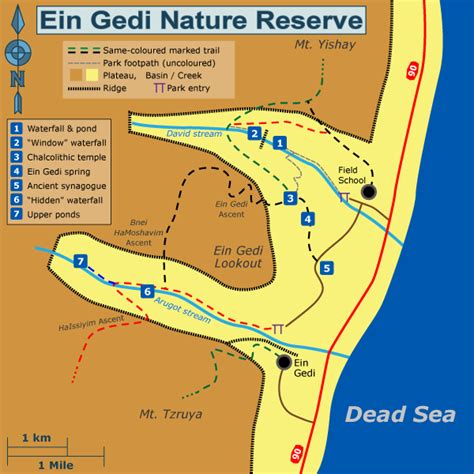 List 91 Pictures The Ein Gedi Nature Reserve Is Located In This