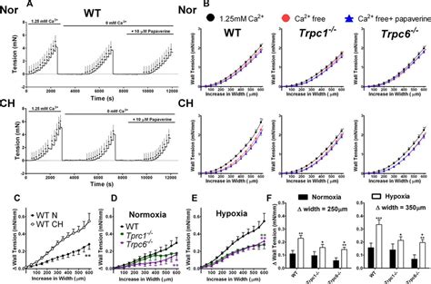 Classical Transient Receptor Potential 1 And 6 Contribute To Hypoxic