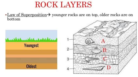 Earth S History Vicky S Science Review