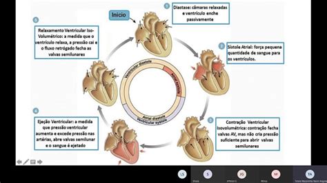 Ciências Morfofuncionais Dos Sistemas Nervoso E Cardiorrespiratório 11