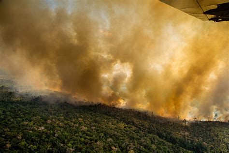 Amazonía brasileña emite más carbono del que captura RED PRENSA VERDE