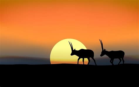 Animal Silhouette on Sunset 2042244 Vector Art at Vecteezy