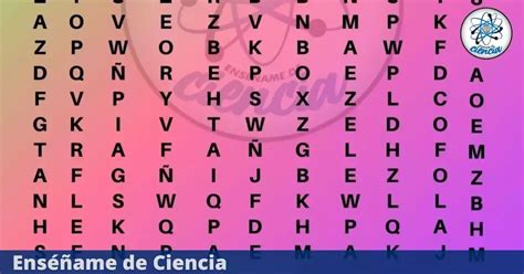 Test Visual El 95 Falló Esta Sopa De Letras Al No Localizar La Palabra Limpieza En Solo 4 Segundos