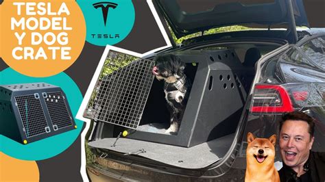 Tesla Model Y Dog Crate Dtboxes Youtube