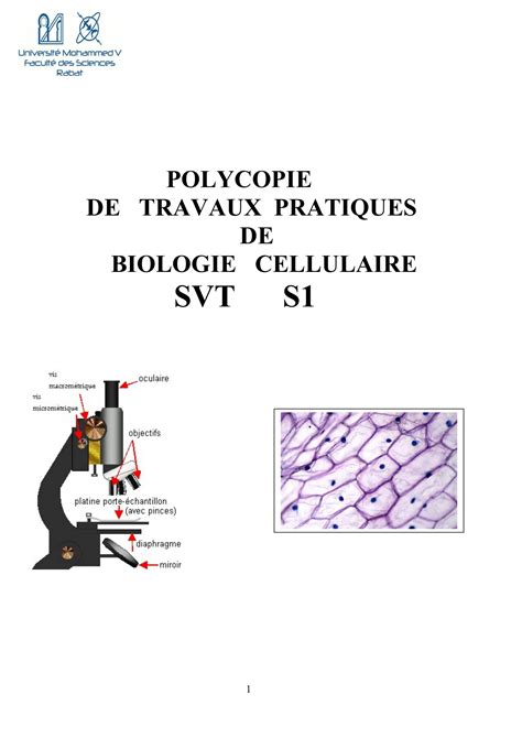 Solution Polycopie De Tp De Biologie Cellulaire Studypool