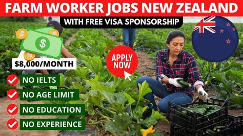 New Zealand Farm Work Jobs Free Visa Sponsorship Available In 2023