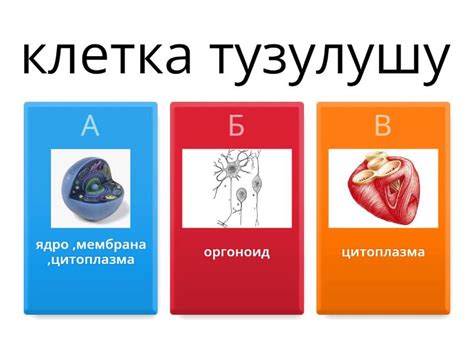 биология - Викторина