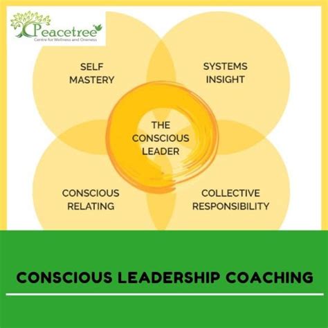 Conscious Leadership Coaching