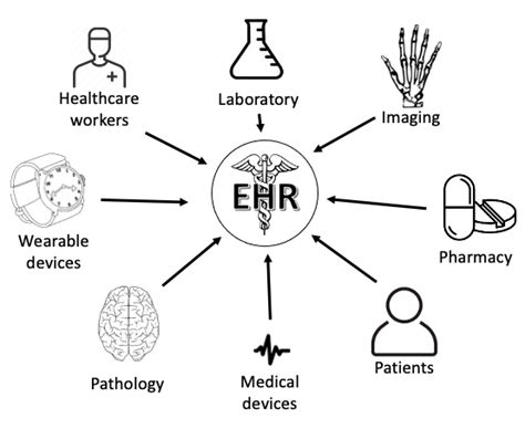 Neal D Goldstein Phd Mbi A Researchers Guide To Using Electronic