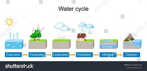 Water Cycle Detailed Explanation Infographic Royalty Free Stock Vector 2281871587