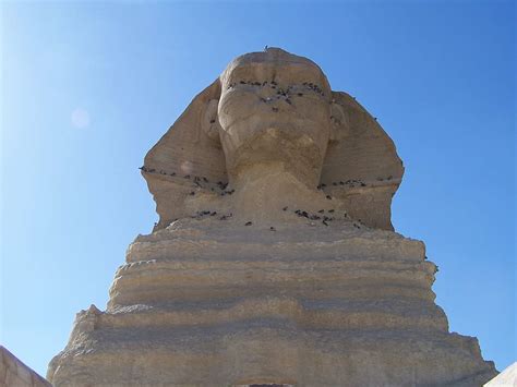 Hd Wallpaper The Sphinx Giza Egypt Cairo Egyptian Desert