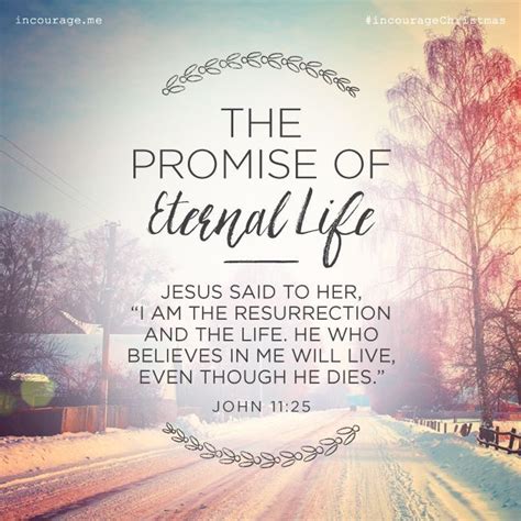 17 Best Todays Promise Images On Pinterest Bible Verses King James