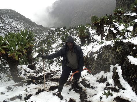 Hiking Rwenzori Mountains In Uganda Climbing The Higest Peak