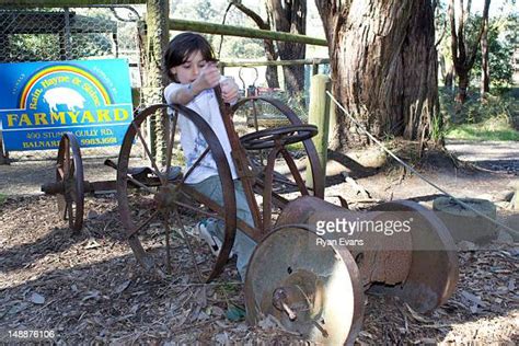 78 The Enchanted Maze Garden Stock Photos, High-Res Pictures, and Images - Getty Images