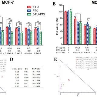 In Vitro Release Profiles Of 5 Fluorouracil 5 FU And Paclitaxel PTX