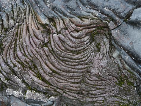 Free Images Lava Volcano Stone Tree Geology Bedrock Outcrop