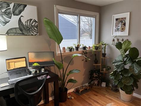 Home Office/Plant Room 🪴 : r/plants