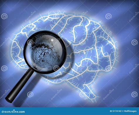 Brain Fingerprint Stock Photography Image