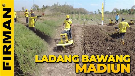 Hajar Ladang Bawang Madiun Pakai Ftl D Youtube