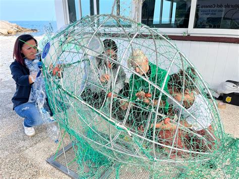 Ecco Ciruzzo Il Pesce Mangia Plastica Realizzato Dagli Studenti Del