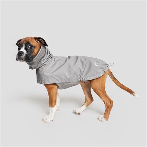 Dog wear cloud7 – Artofit