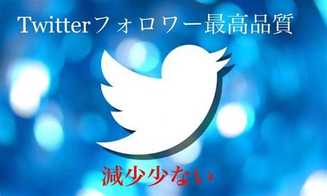 Yahooオークション 【オマケtwitterフォロワー500増加】sns Youtube