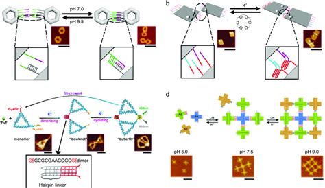 Reversible Formation Of Higher Assemblies Of Dna Nanostructures Induced