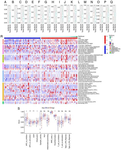 Immune Infiltration Landscape And Functional Analysis Differential