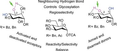 On The Origin Of The Regioselectivity In Glycosylation Reactions Of 1 2