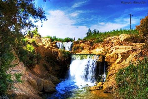 Day Tour To Valley Of Whales And Wadi El Rayan Water Falls