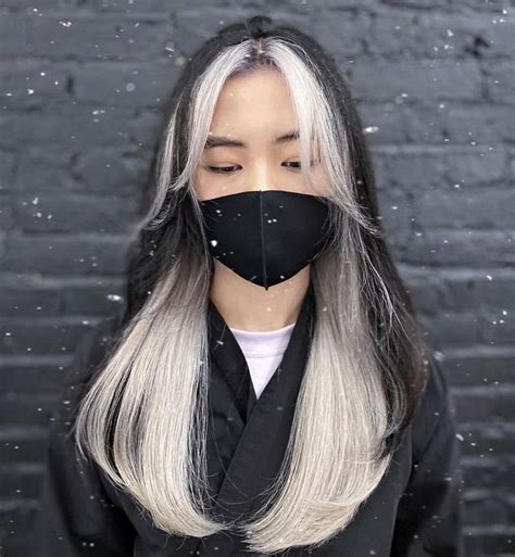 Black And White Hair Hair Color Underneath Hair Color For Black Hair